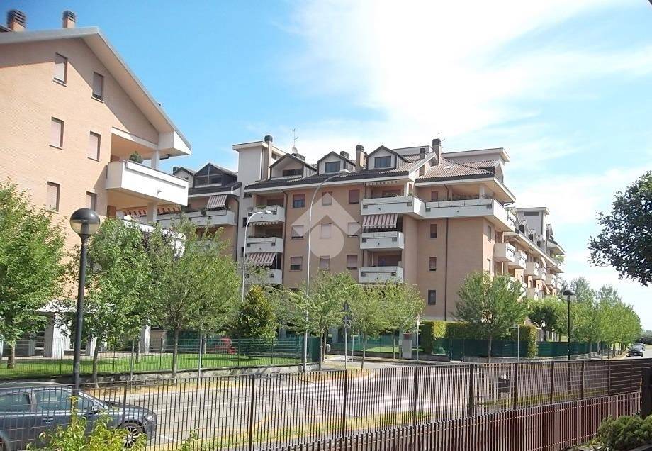 immagine annuncio 14 di 15