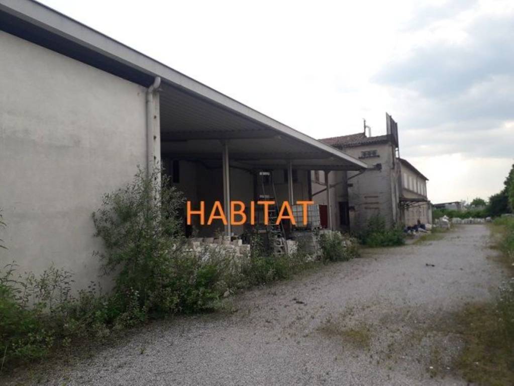 immagine annuncio 4 di 9