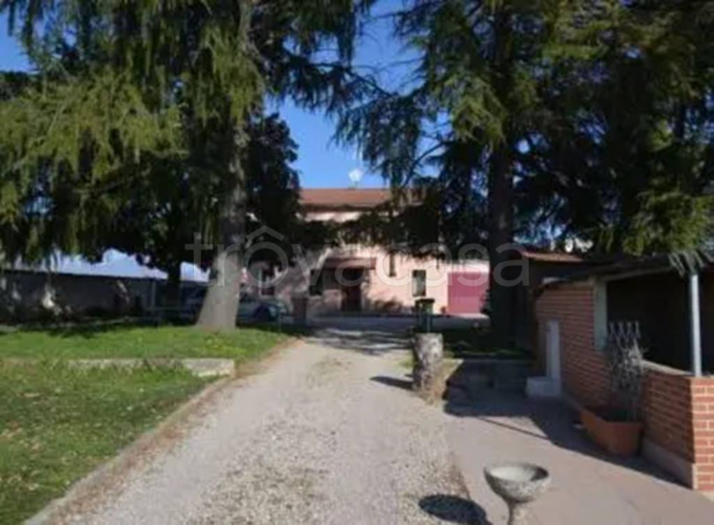 immagine annuncio 2 di 12