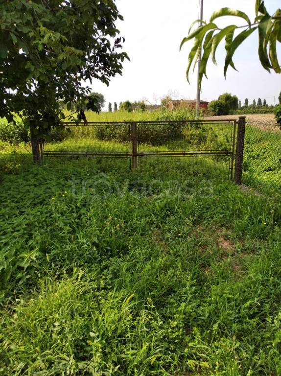 immagine annuncio 4 di 7