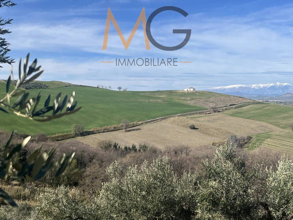 immagine annuncio 2 di 9