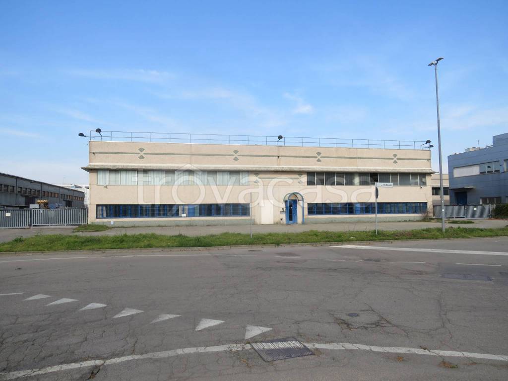 immagine annuncio 5 di 15