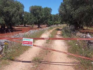 Terreno residenziale in vendita a carovigno contrada belvedere