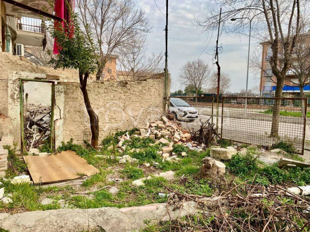 immagine annuncio 3 di 9