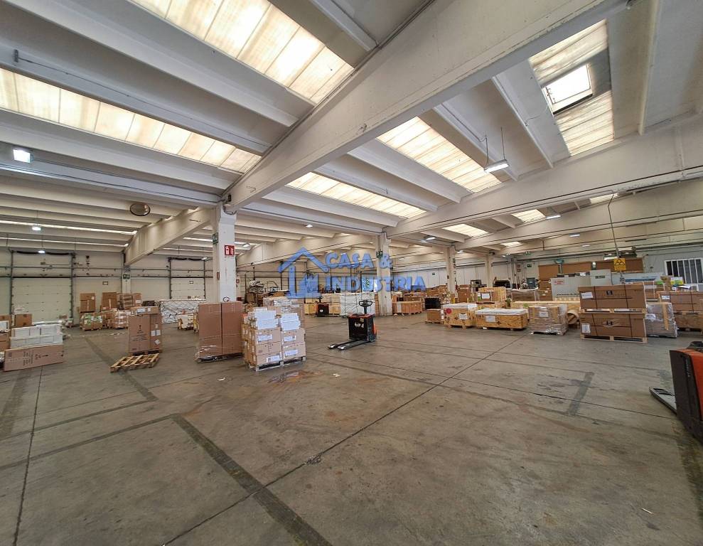 immagine annuncio 8 di 15