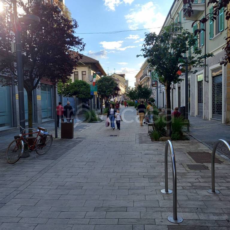 immagine annuncio 6 di 11