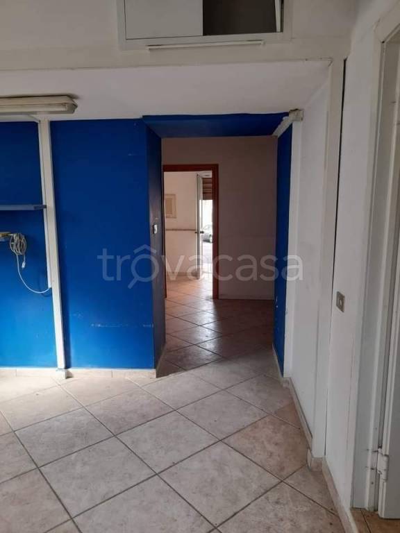immagine annuncio 1 di 4