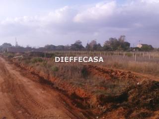 Terreno agricolo in vendita a marsala contrada ventrischi