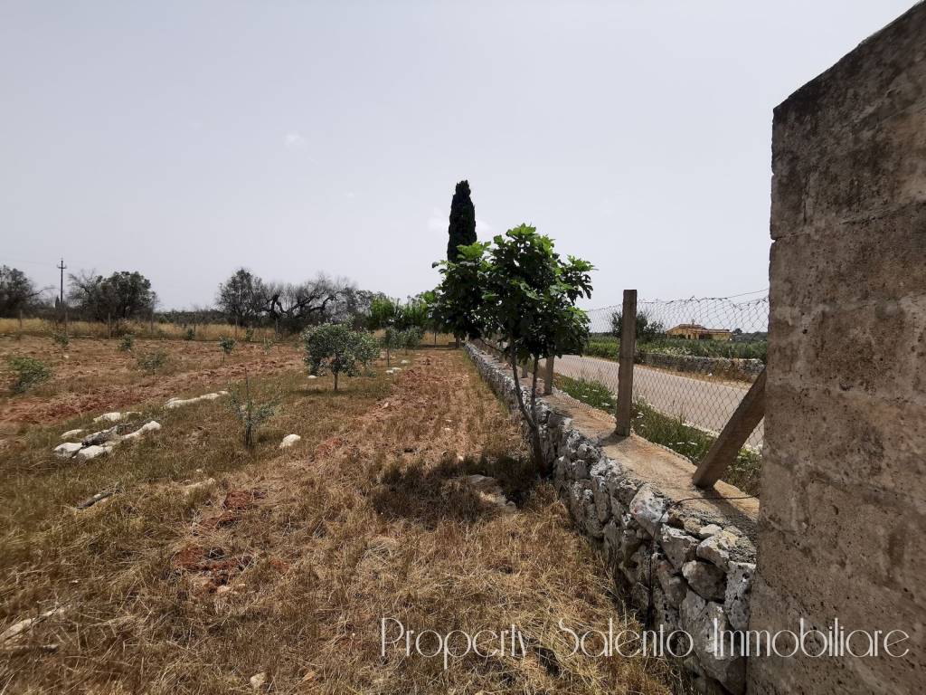 immagine annuncio 3 di 13