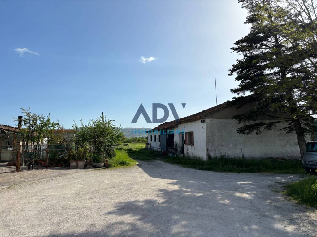 immagine annuncio 1 di 4