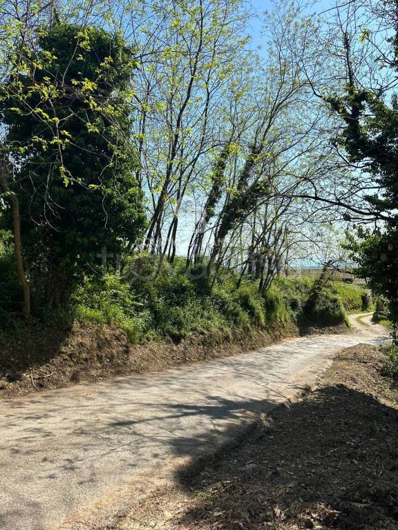 immagine annuncio 6 di 14