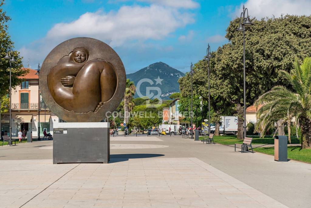 immagine annuncio 7 di 14