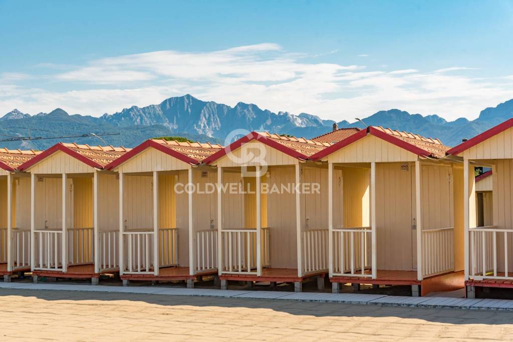 immagine annuncio 12 di 14