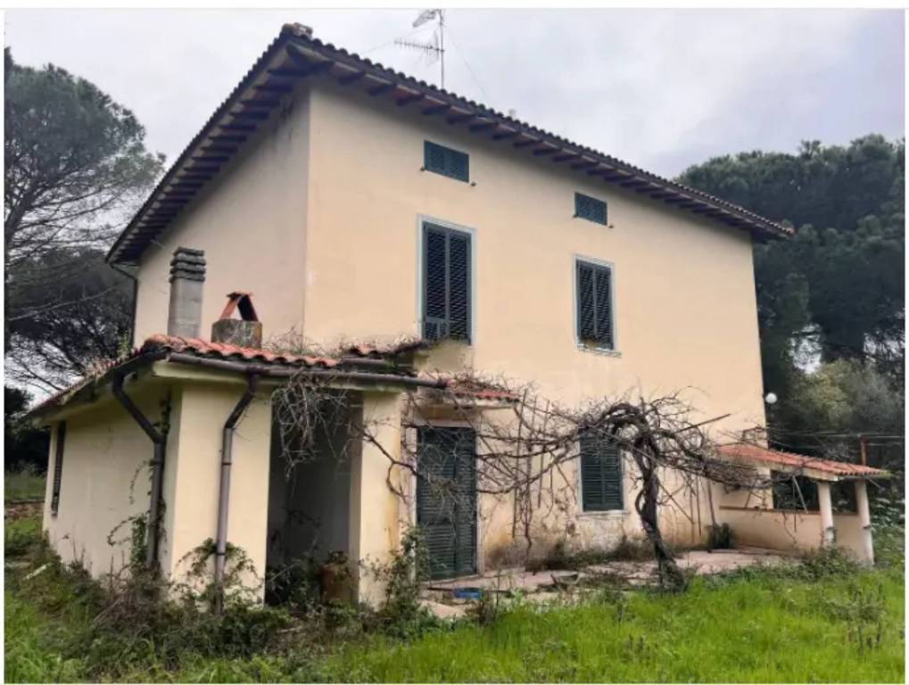 immagine annuncio 5 di 14