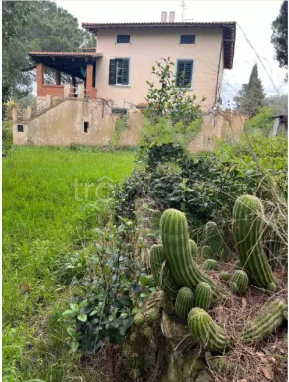 immagine annuncio 6 di 14