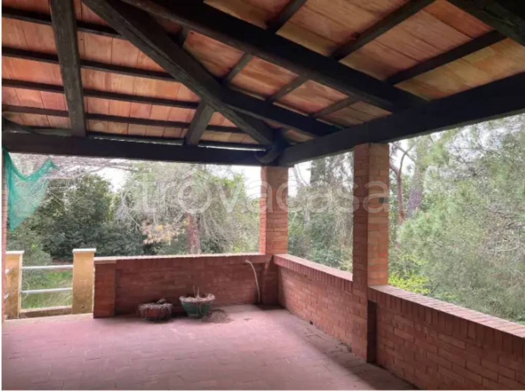 immagine annuncio 9 di 14