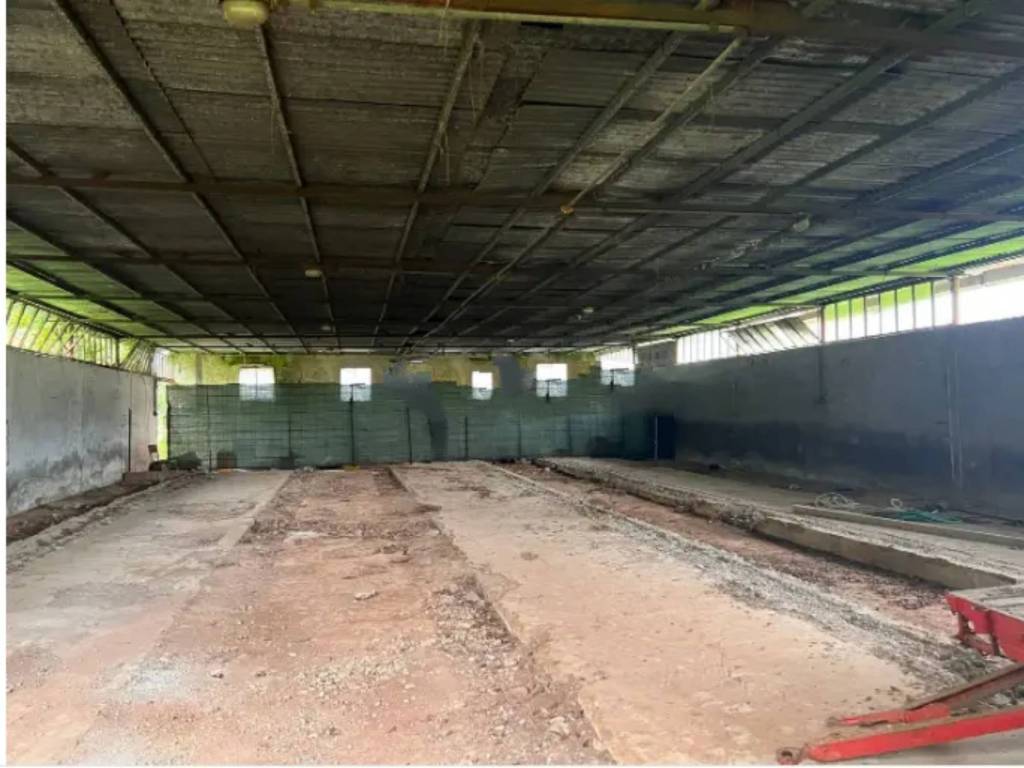 immagine annuncio 12 di 14