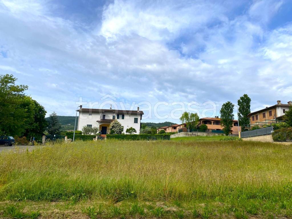 immagine annuncio 5 di 7