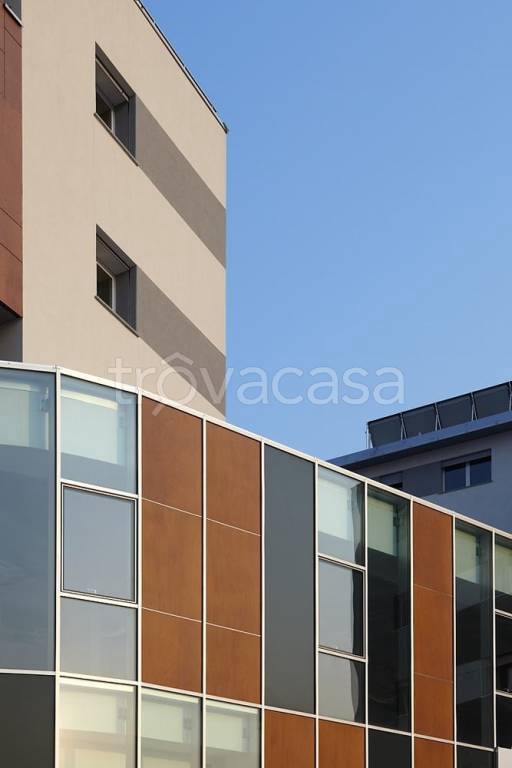 immagine annuncio 9 di 14