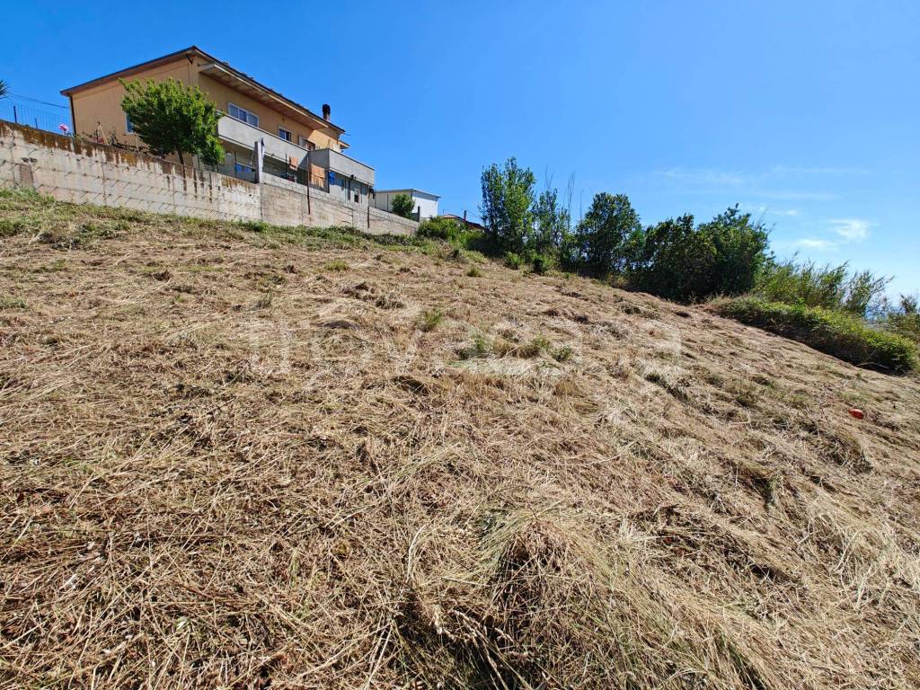 immagine annuncio 11 di 13