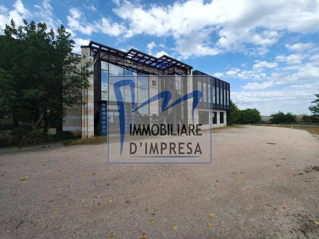 immagine annuncio 9 di 10