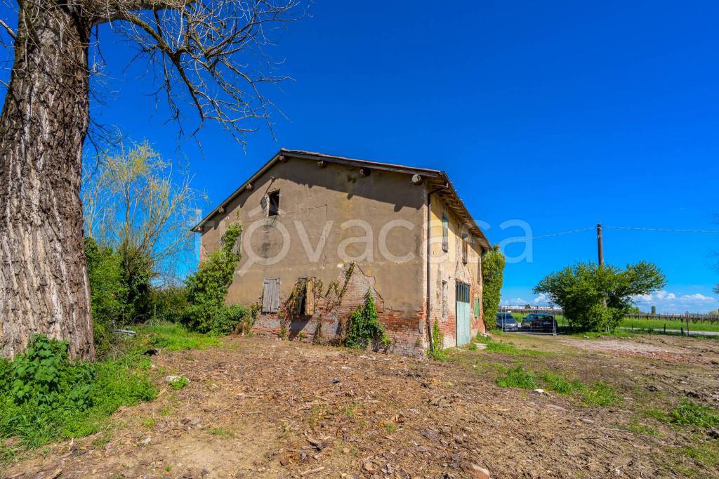 immagine annuncio 5 di 11