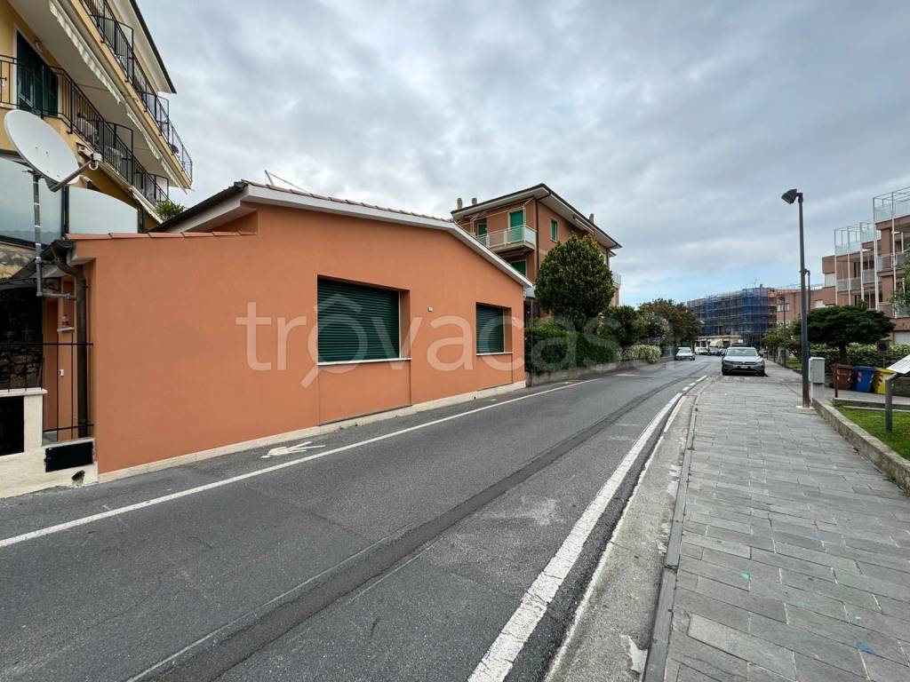 immagine annuncio 9 di 12