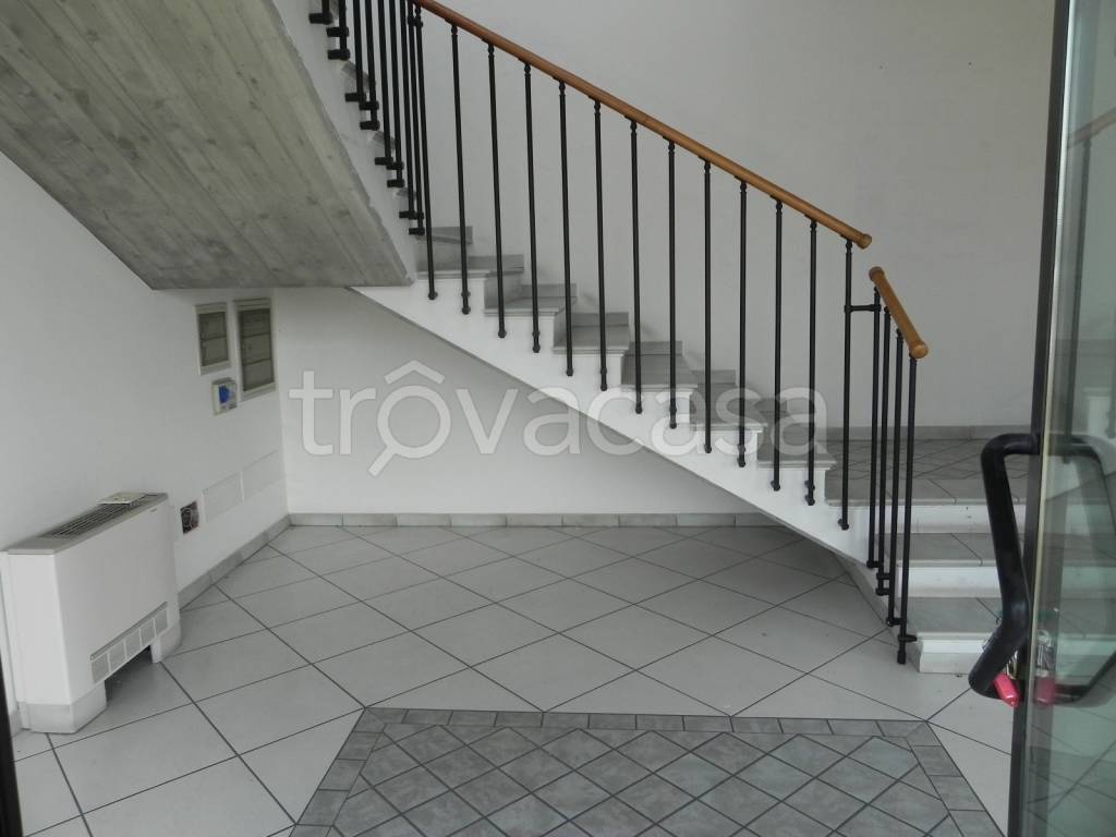 immagine annuncio 3 di 6