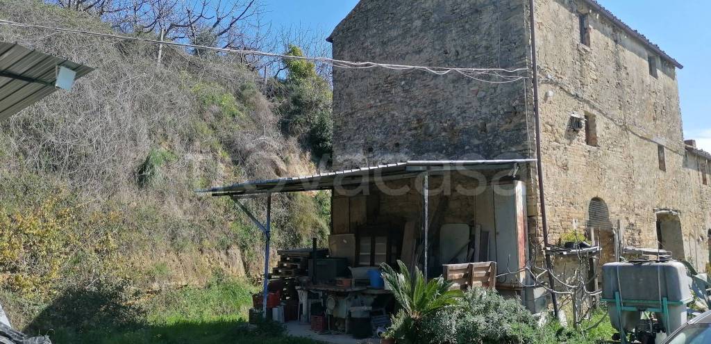 immagine annuncio 2 di 11