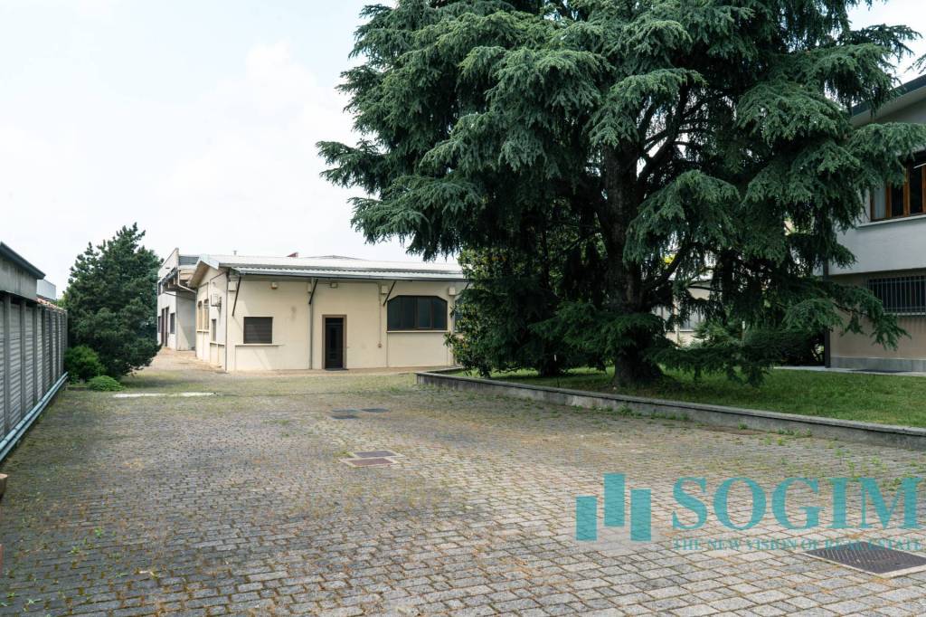 immagine annuncio 3 di 15