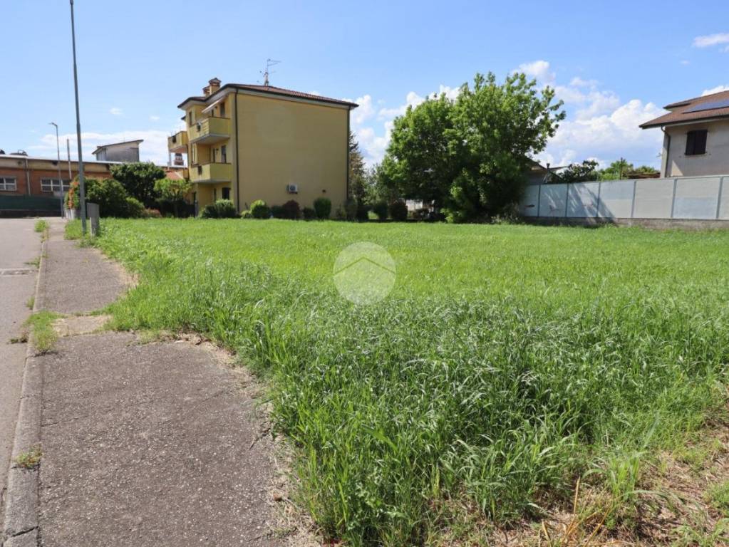 immagine annuncio 1 di 11