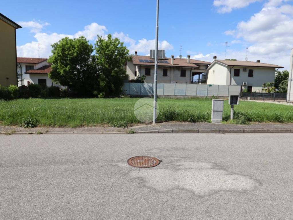 immagine annuncio 3 di 11