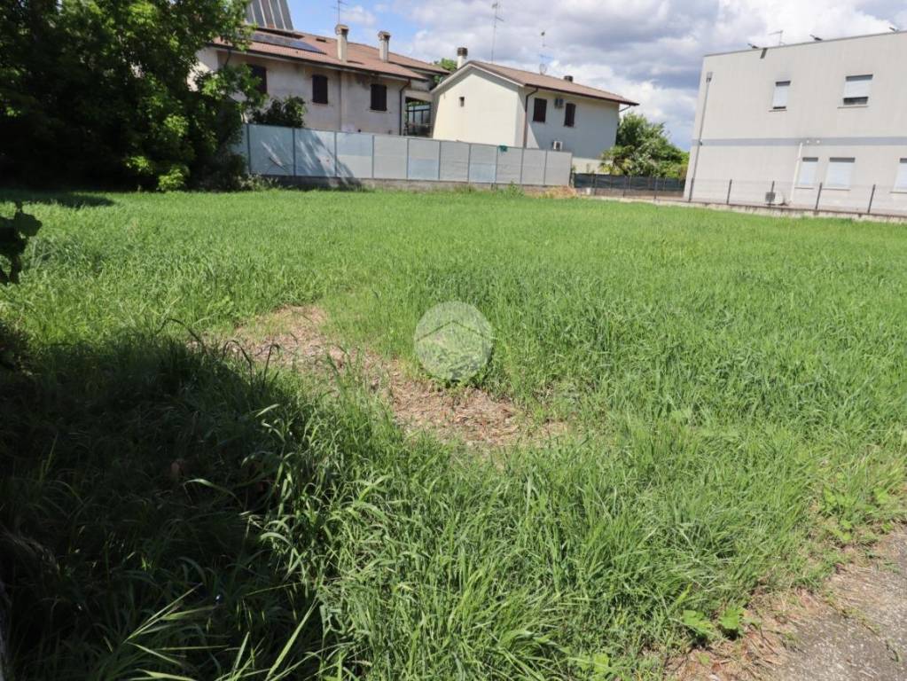 immagine annuncio 2 di 11