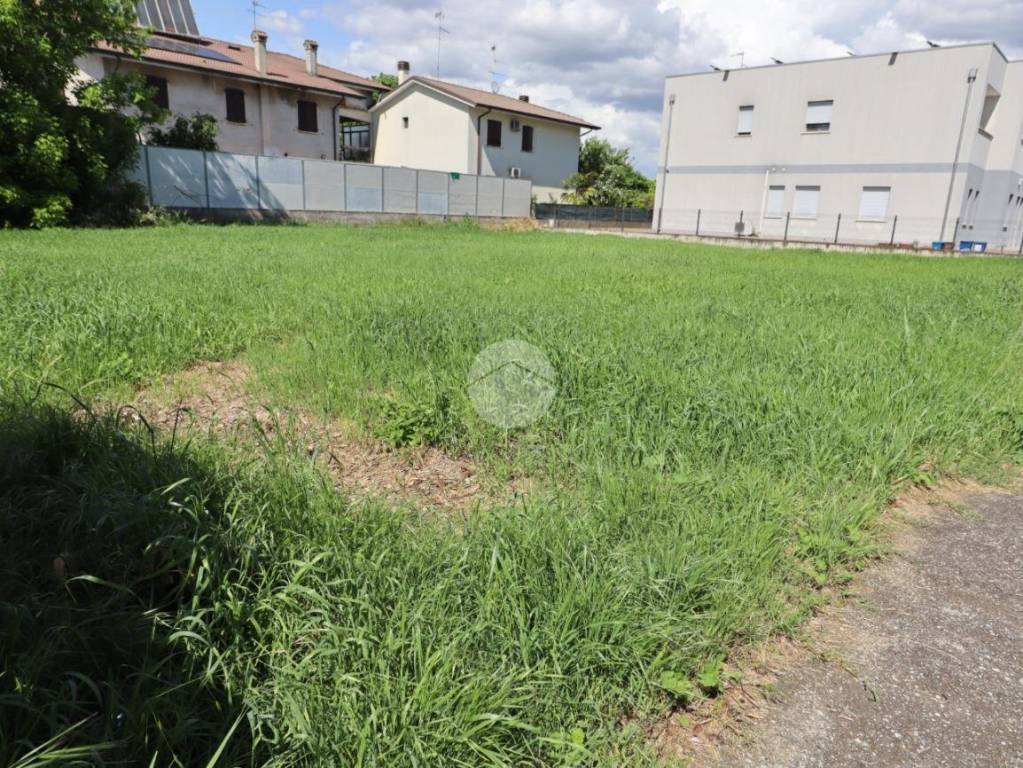 immagine annuncio 4 di 11