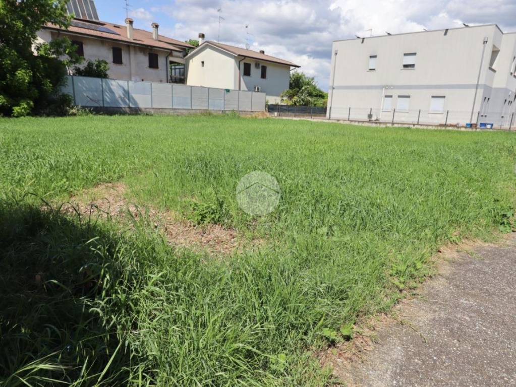 immagine annuncio 5 di 11