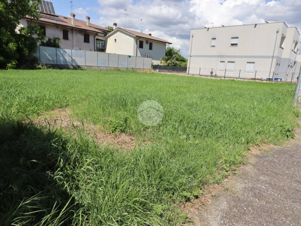 immagine annuncio 7 di 11