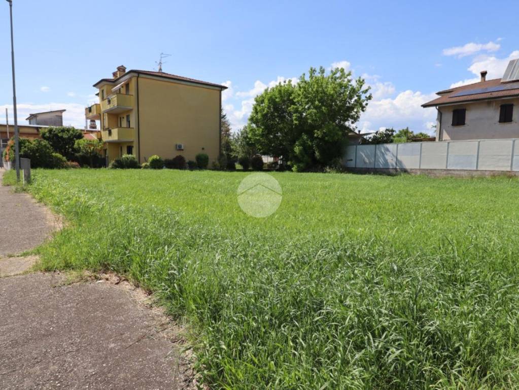 immagine annuncio 9 di 11