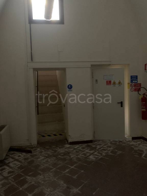 immagine annuncio 7 di 12