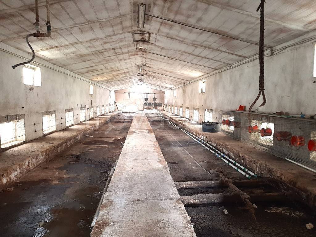 immagine annuncio 9 di 14