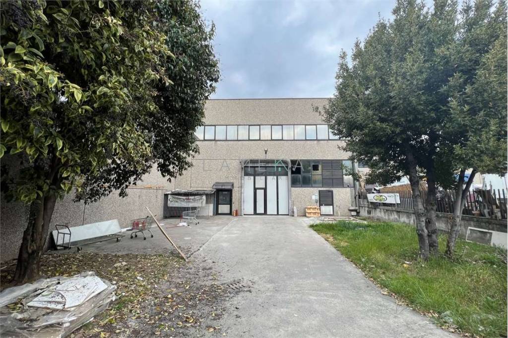 immagine annuncio 3 di 15