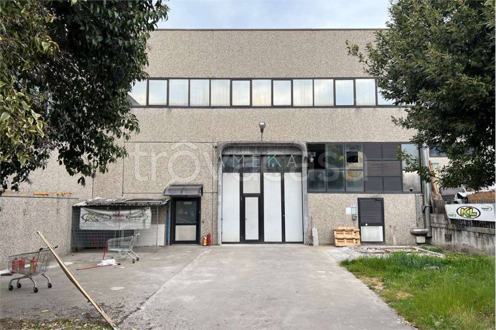 immagine annuncio 4 di 15