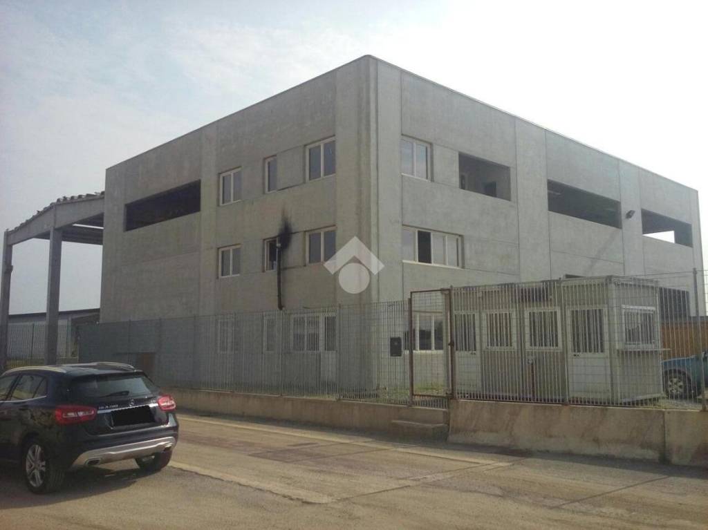 immagine annuncio 2 di 14