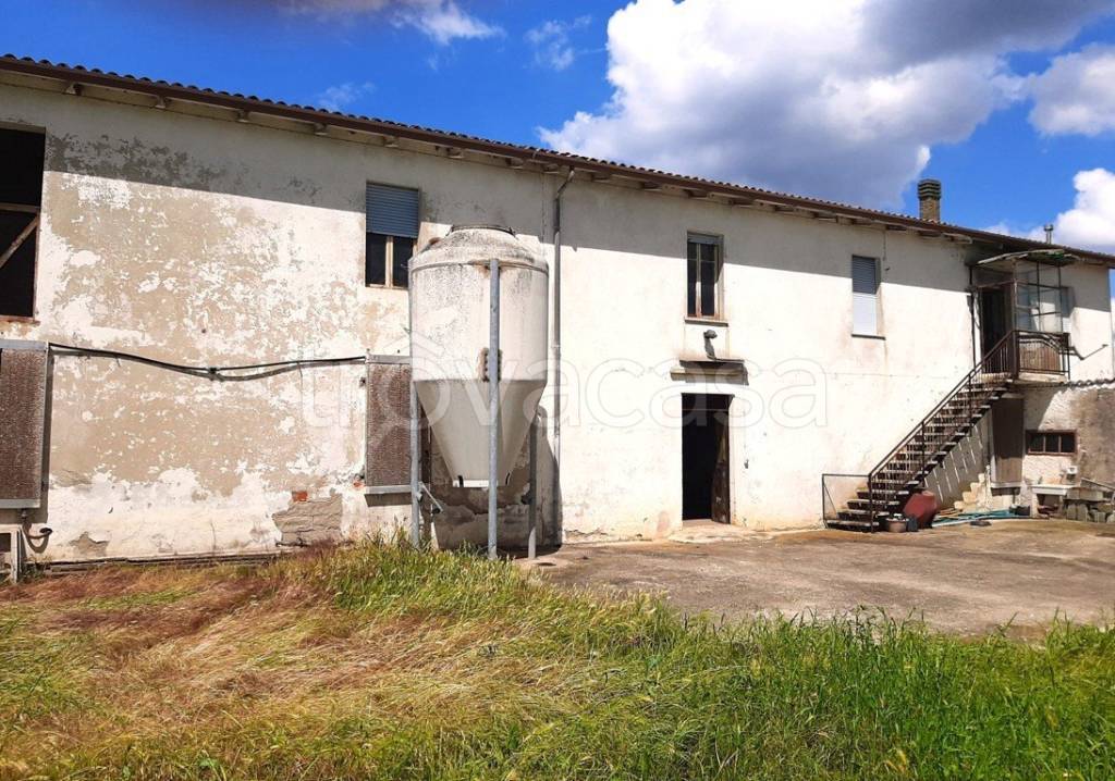 immagine annuncio 1 di 14