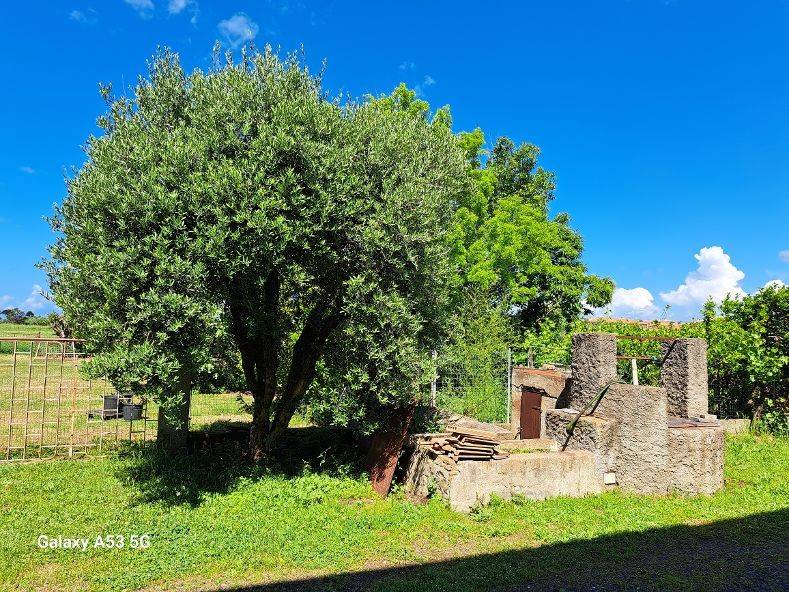 immagine annuncio 6 di 7