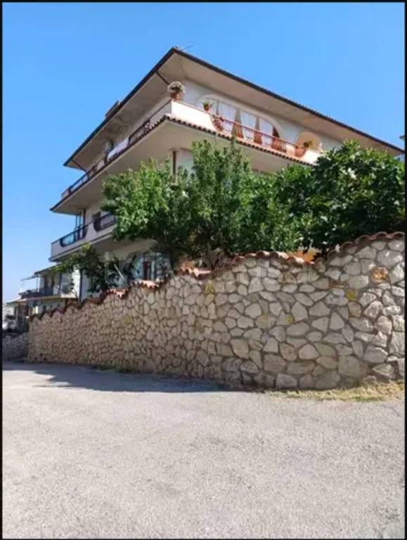 immagine annuncio 3 di 6