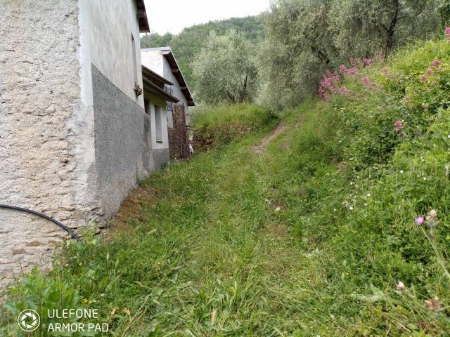 immagine annuncio 4 di 9
