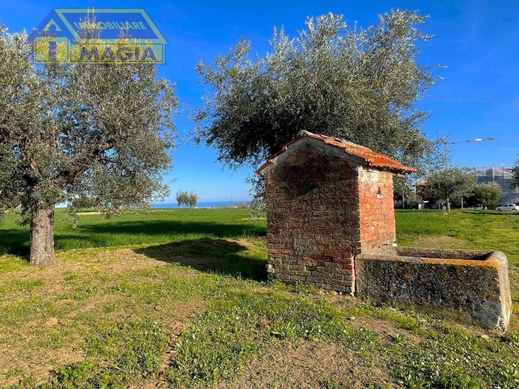 immagine annuncio 1 di 11