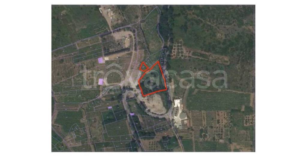 immagine annuncio 7 di 8