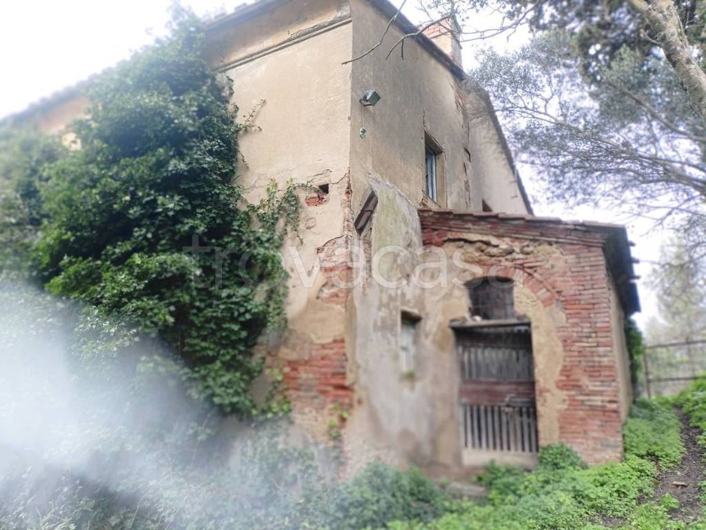 immagine annuncio 6 di 13