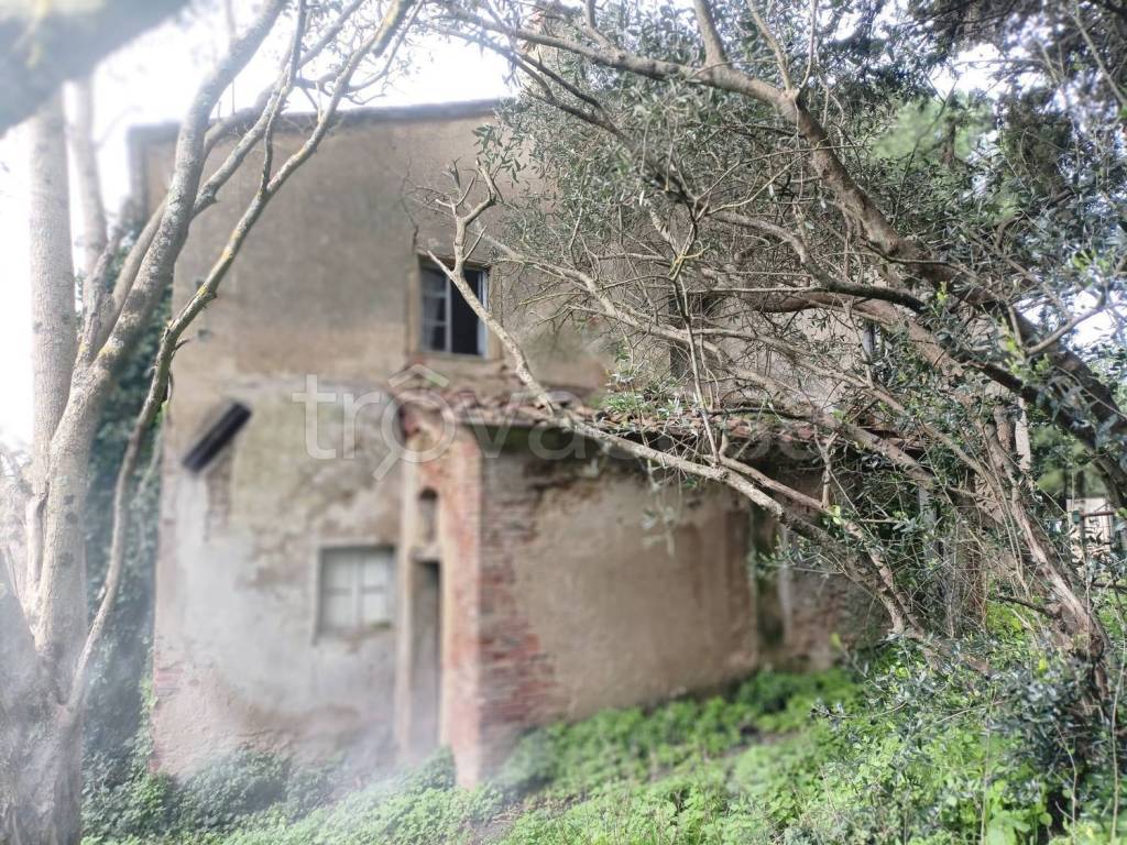 immagine annuncio 7 di 13